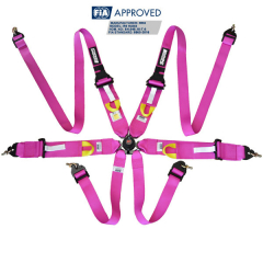 Harnais FIA RRS R6 - ROSE
