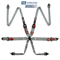 Harnais FIA RRS R6 HANS® 2.8 kg - GRIS